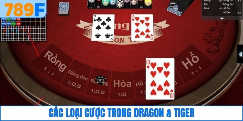 Các loại cược trong bộ môn Dragon & Tiger